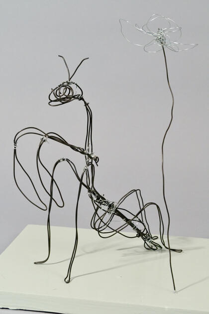 Praying Mantis made of wire - for 3D concepts class